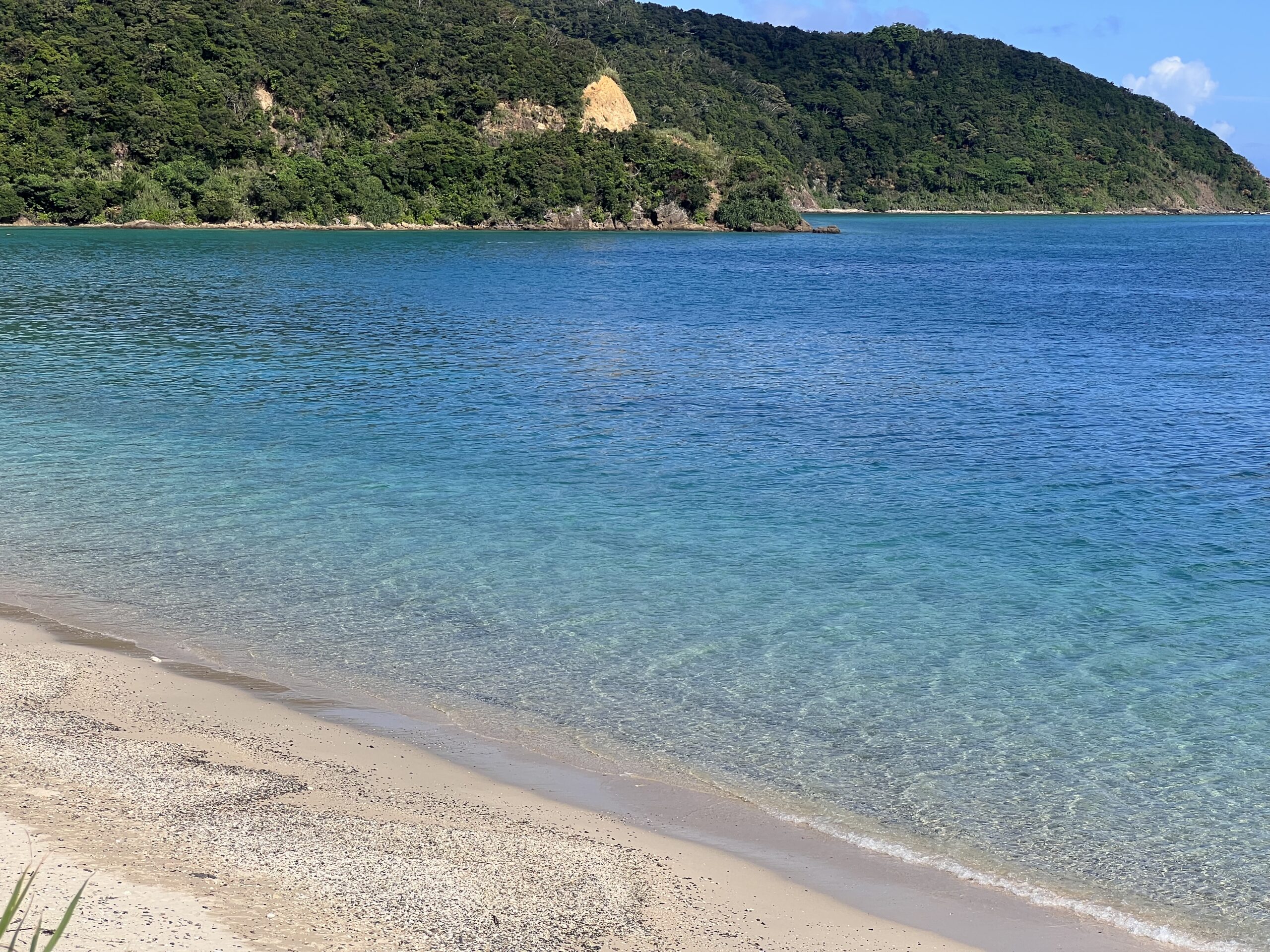奄美大島の美しい道と青空